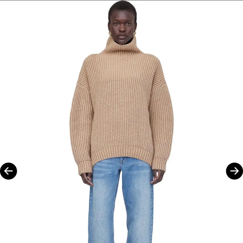 Anine bing sydney sweater